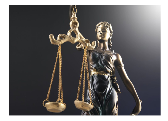 Lawlight Services